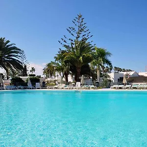 https://bungalows-santa-clara.in-canary-islands.com